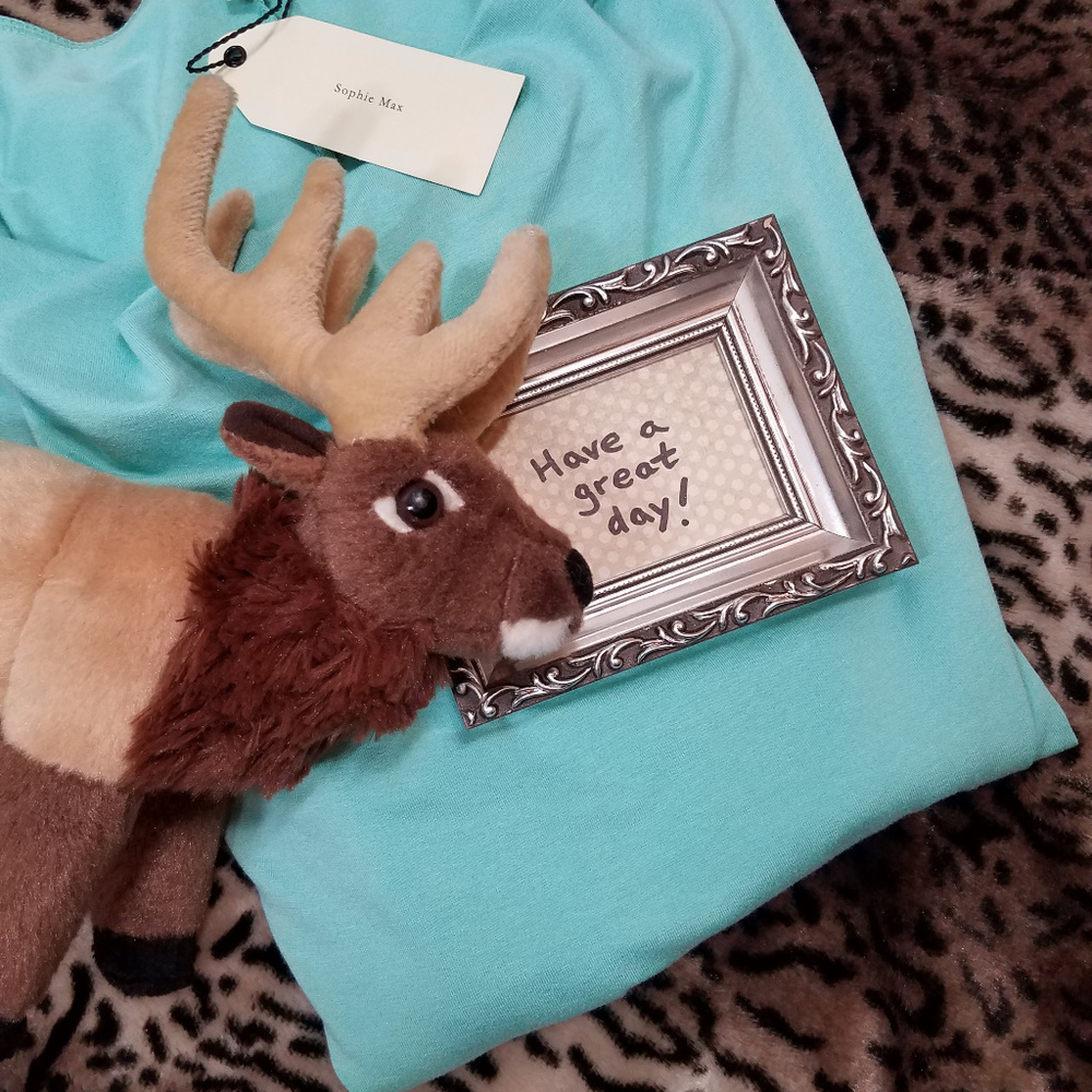 NWT Sophie Max Mint blue green Ruched Dolman short sleeved shirt Top Medium - Picture 8 of 8